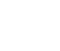 shape 4